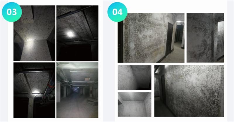霉菌的溫床：地下車庫或儲(chǔ)藏室潮濕、滲漏...(圖2)