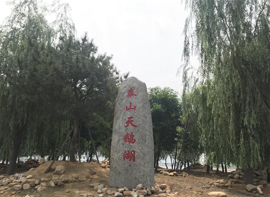 天鵝湖風(fēng)景區(qū)（泰山）速覽！(圖12)