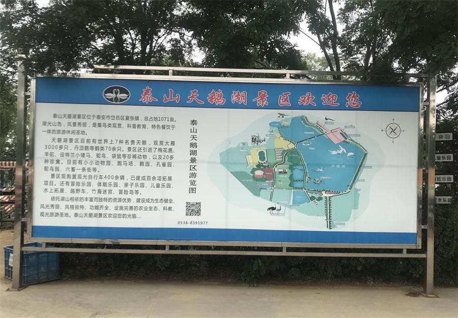 天鵝湖風(fēng)景區(qū)（泰山）速覽！(圖2)